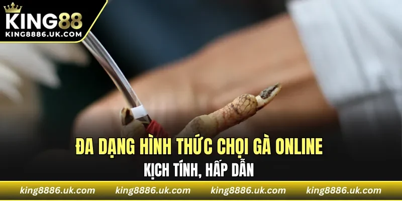 Đa dạng hình thức chọi gà online hấp dẫn