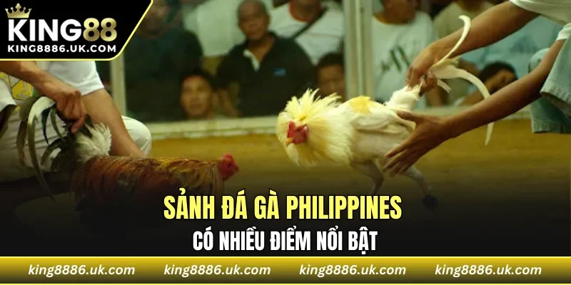 Sảnh đá gà Philippines có nhiều điểm nổi bật